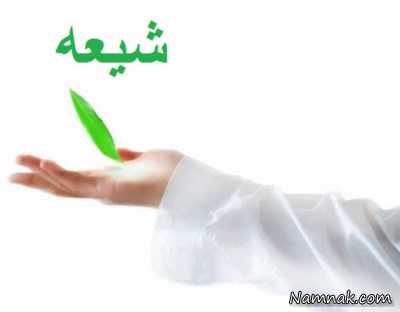 جمعیت شیعه در دنیا جمعیت مسلمانان شیعه